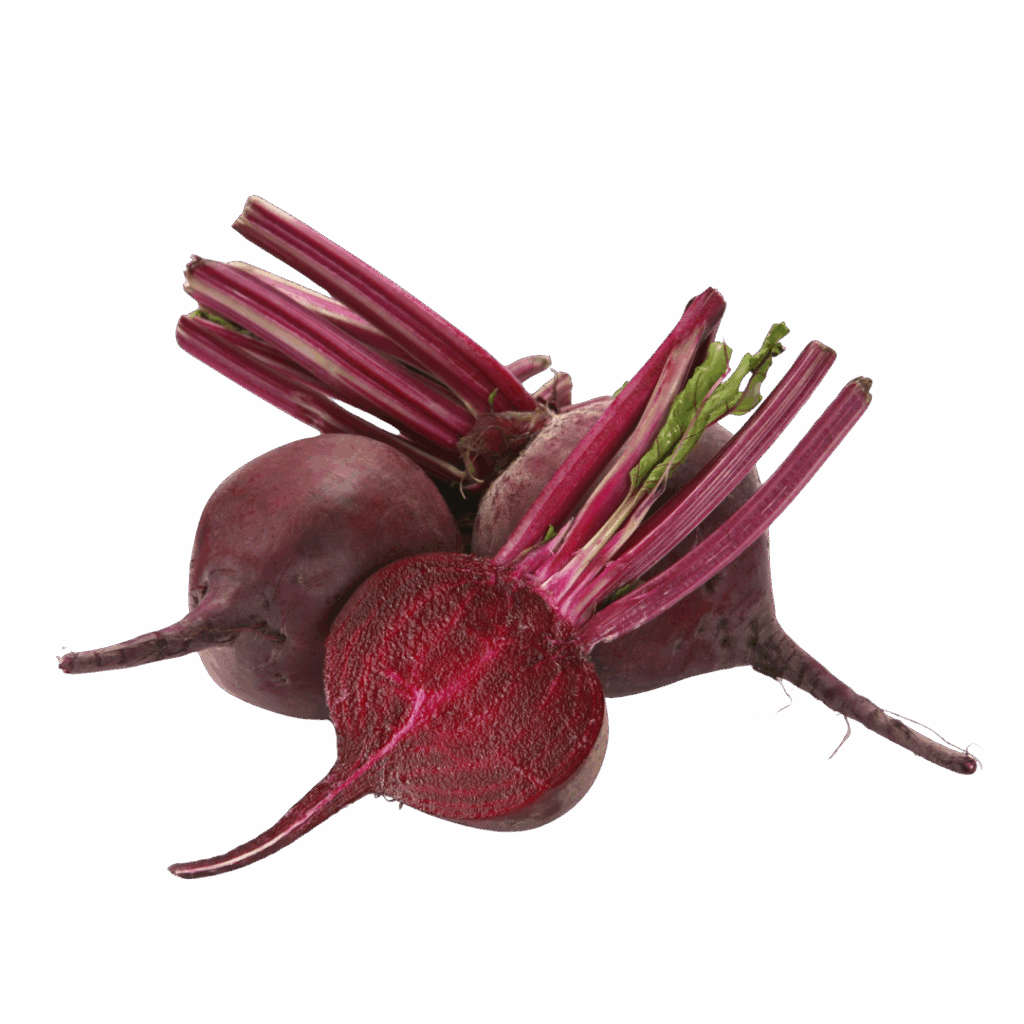 Afrikenz - Fruits Export from Morocco - Beetroot
