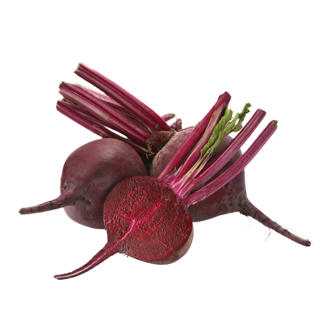 Afrikenz - Fruits Export from Morocco - Beetroot
