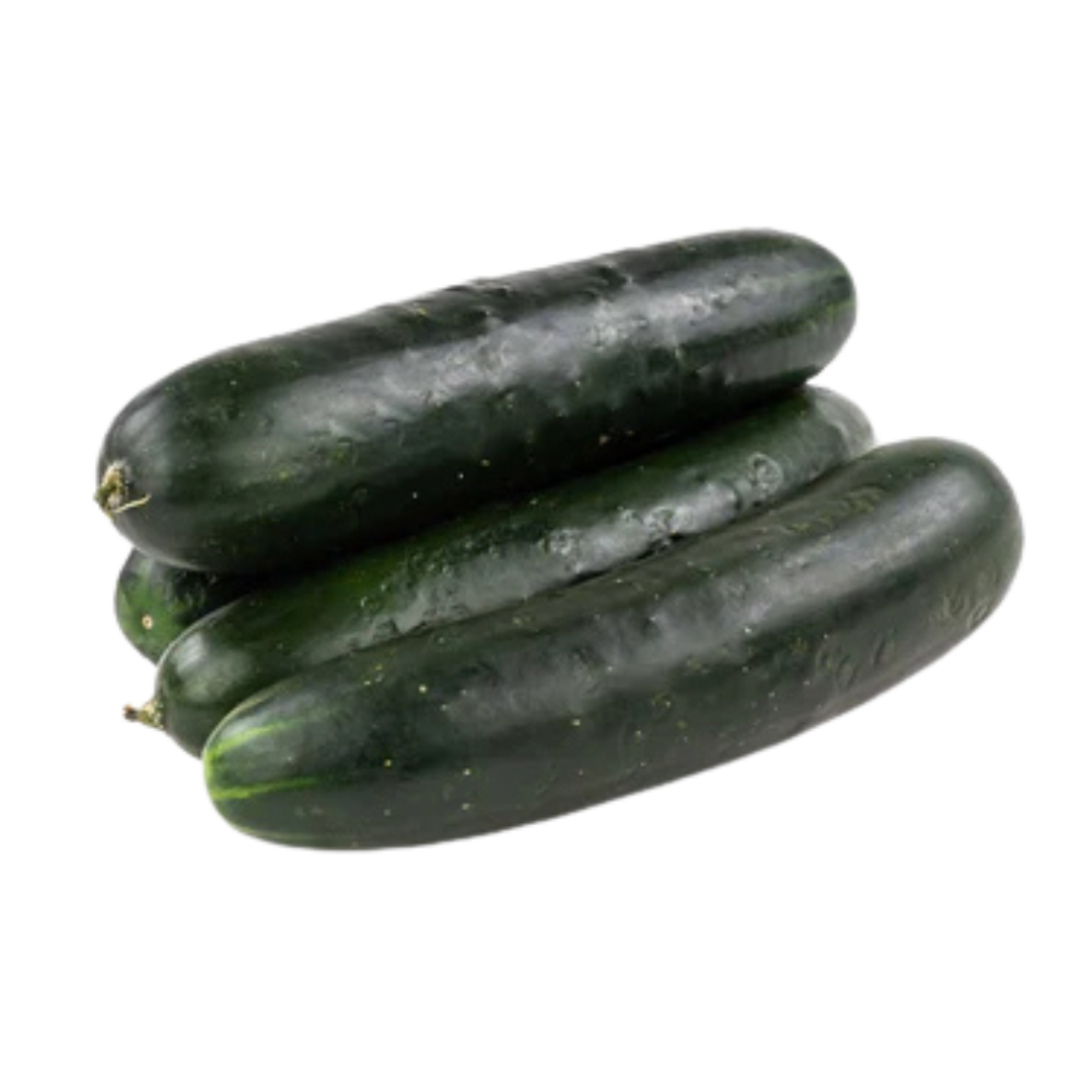 Afrikenz - Fruits Export from Morocco - Cucumbers