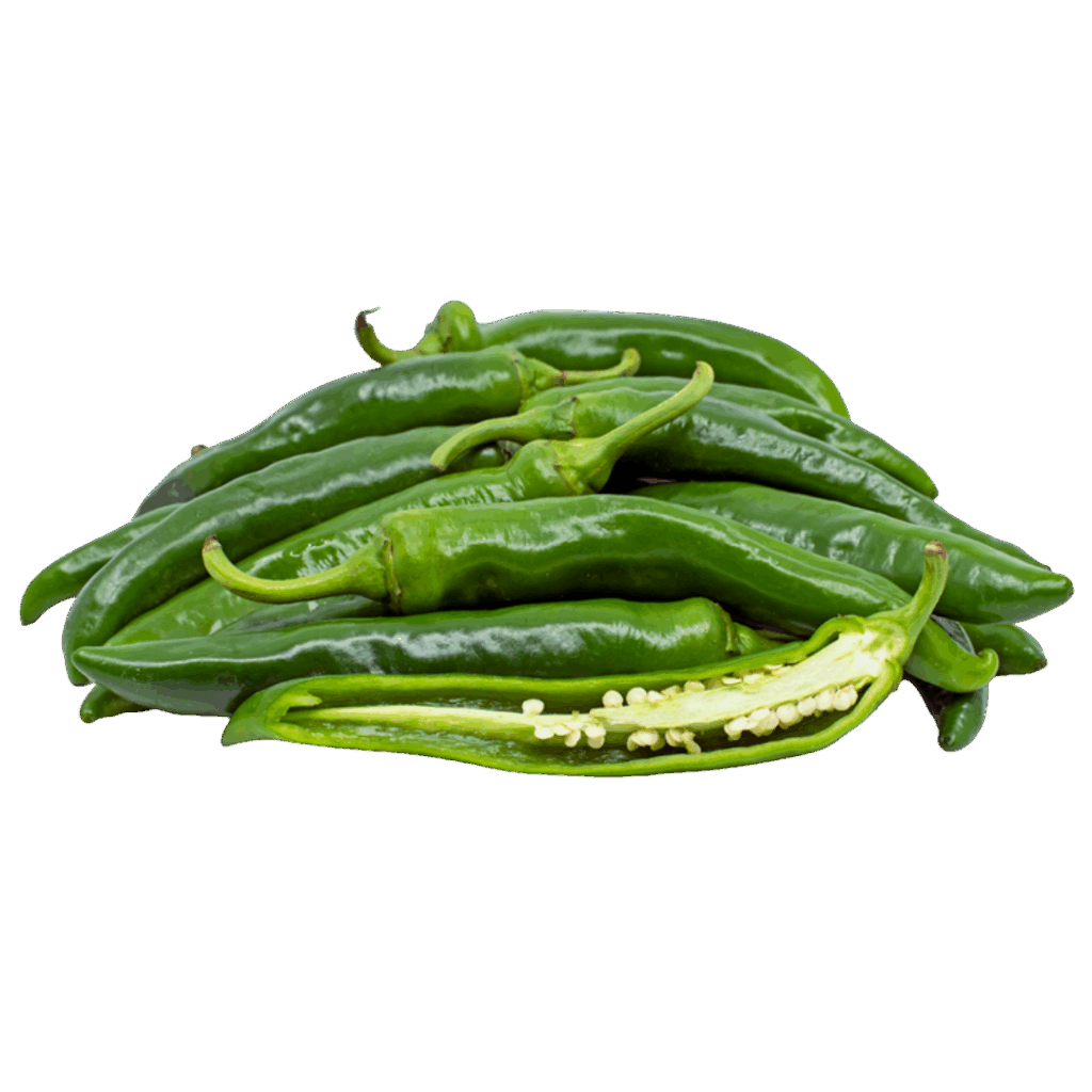 Afrikenz - Fruits Export from Morocco - Green Chili Peppers