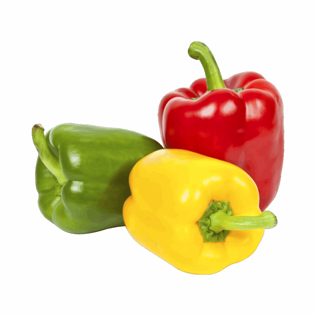 Afrikenz - Fruits Export from Morocco - Poivrons (Sweet Peppers)