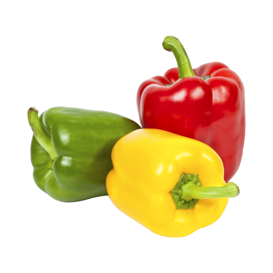 Afrikenz - Fruits Export from Morocco - Poivrons (Sweet Peppers)
