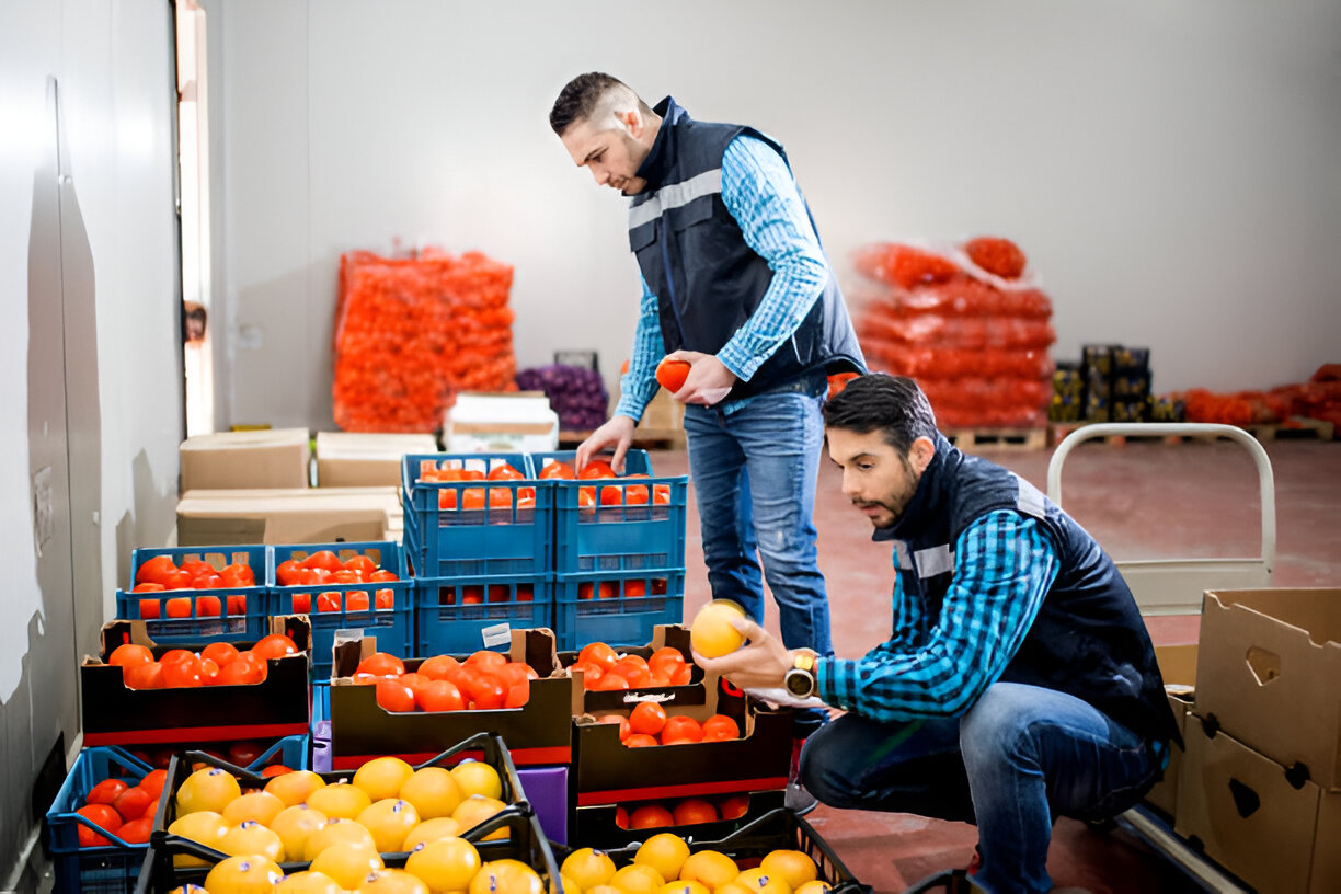 Welcome to Afrikenz: Morocco’s Fresh Gateway to Africa and Europe