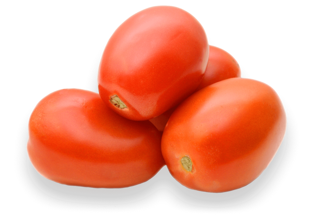 Afrikenz - Fruits Export from Morocco - Grape Tomatos